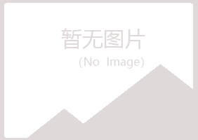 重庆渝中冰夏建设有限公司